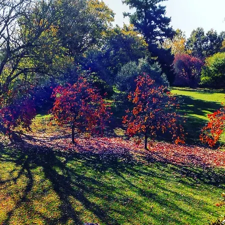 Chateau De Theon Pensión Cozes