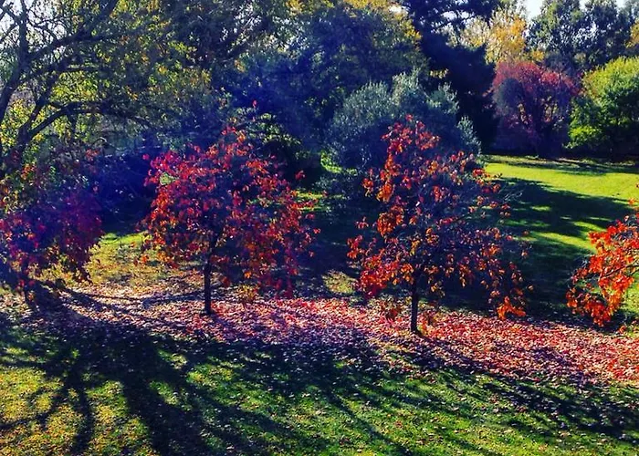 Chateau De Theon Pensión Cozes